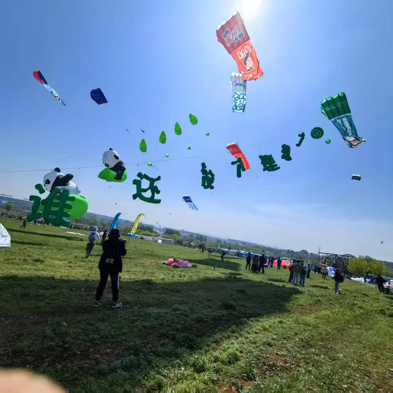 图木舒克市风筝商业放飞风筝定制 - 价格